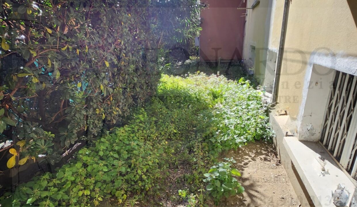 giardino 5