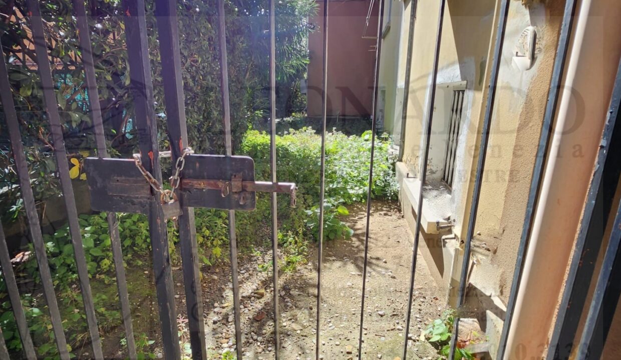 giardino 6