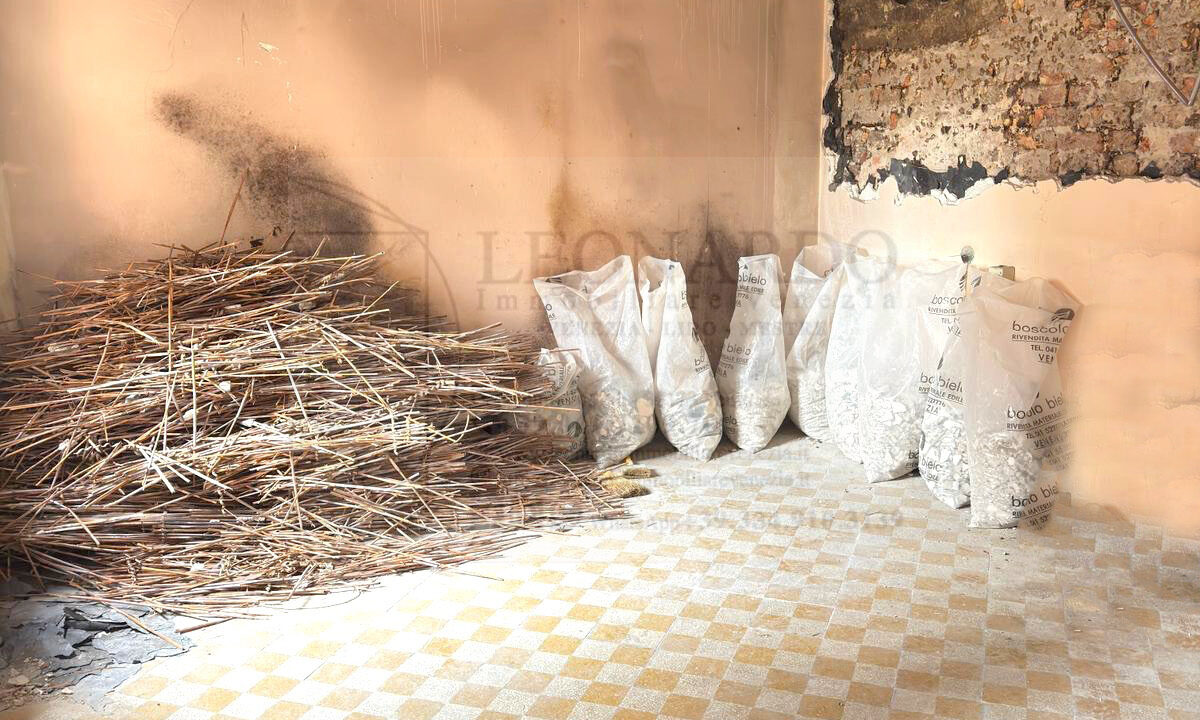 WhatsApp Image 2026-01-22 at 16.54.41 (3)