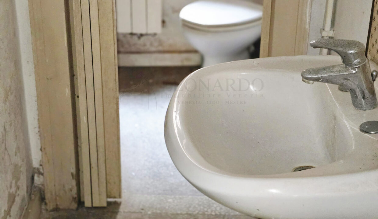 WhatsApp Image 2026-03-18 at 12.15.40