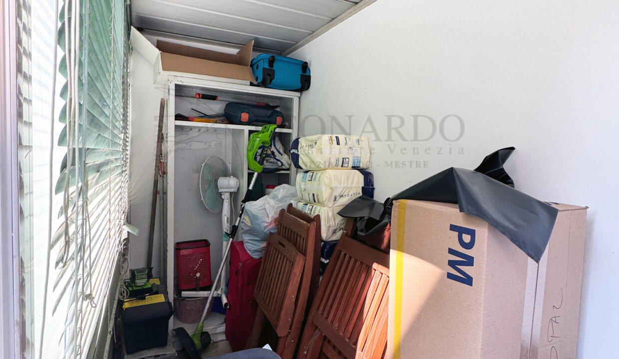 WhatsApp Image 2026-03-19 at 18.41.46 (2)