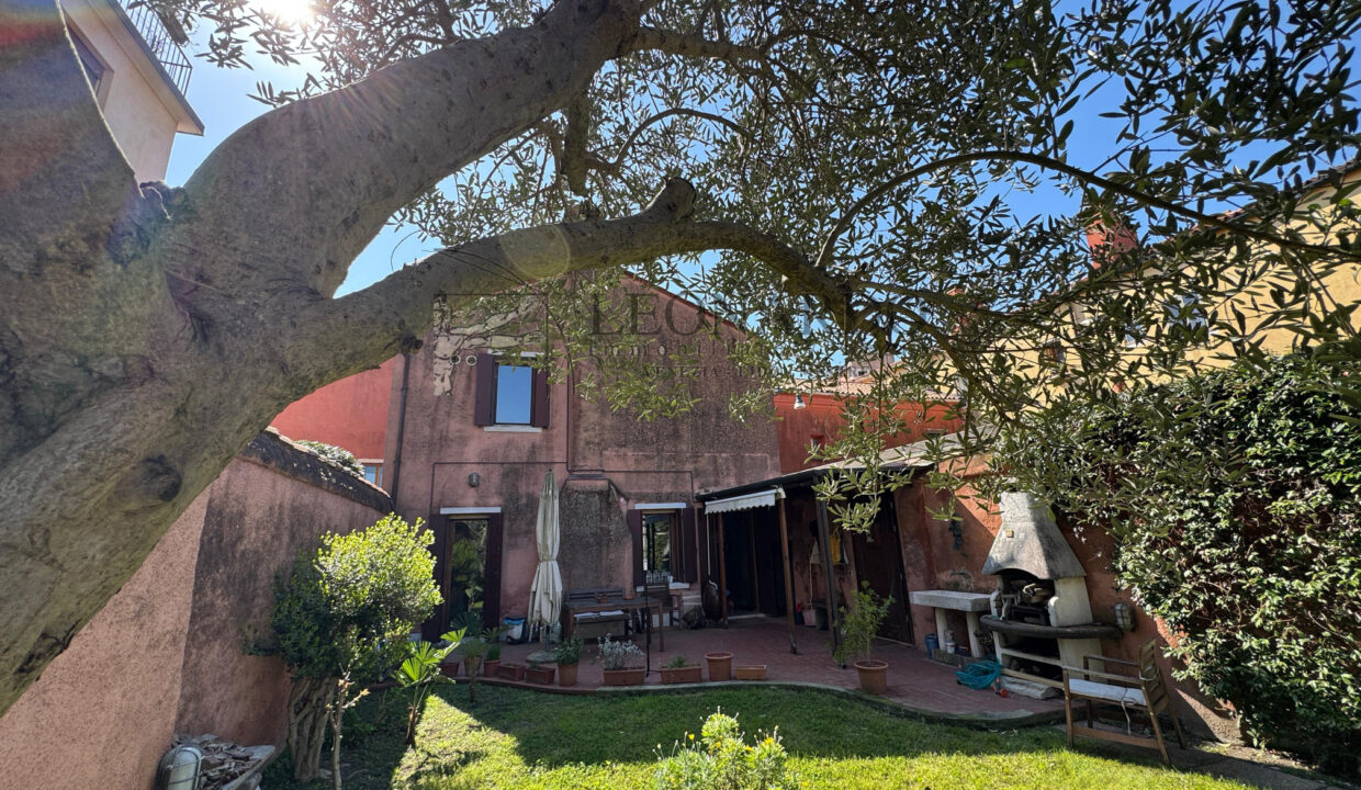 WhatsApp Image 2026-03-19 at 18.45.20