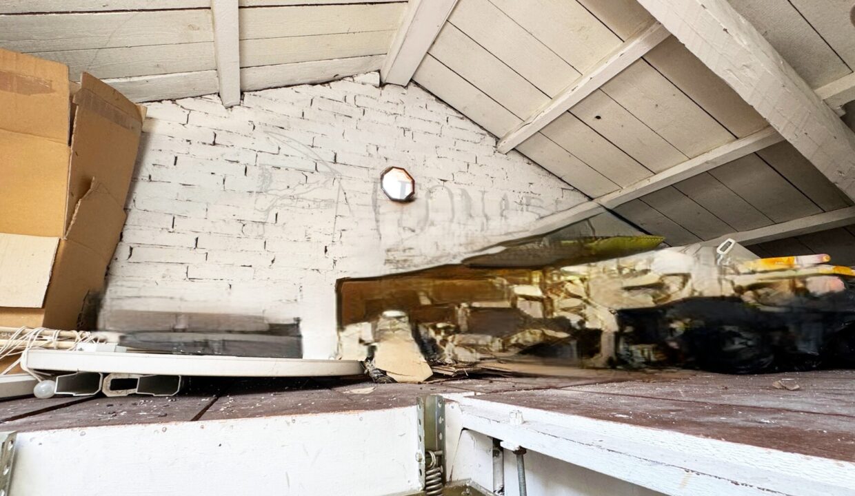 WhatsApp Image 2026-03-19 at 18.45.31