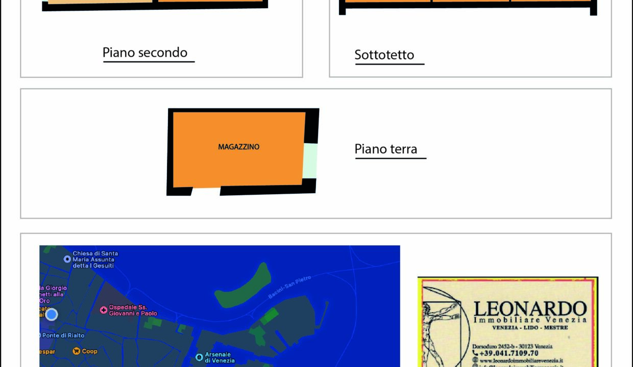 pianta nuova